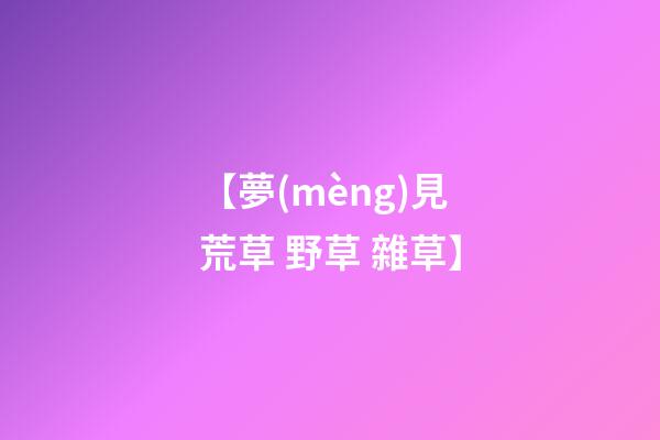 【夢(mèng)見荒草 野草 雜草】